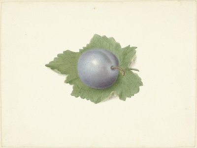 Plum on a Leaf by Elisabeth Geertruida van de Kasteele