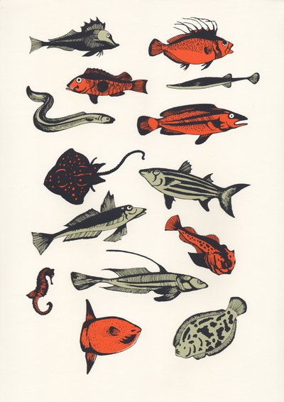 Orange Plain Fish by Eliza Southwood
