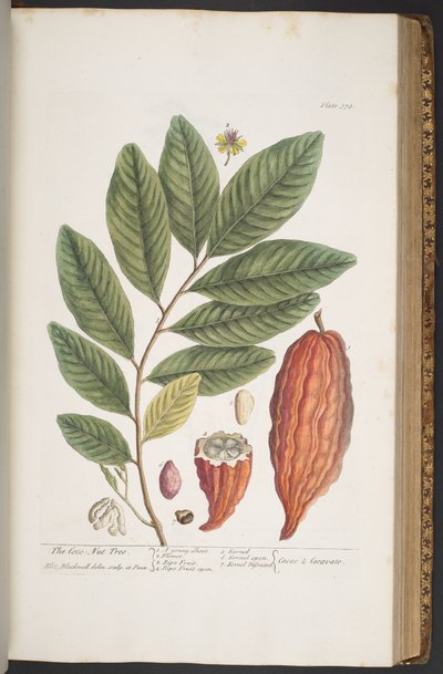 Plate 373, from 