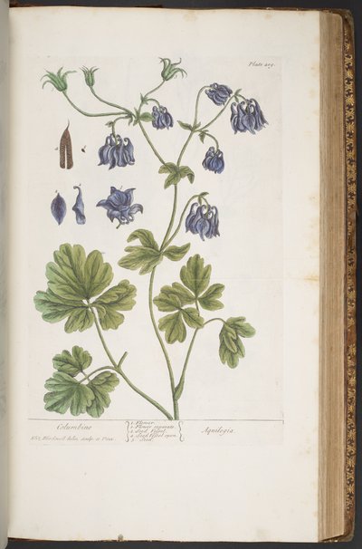 Plate 409, from 