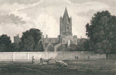Christ Church Cathedral, Oxford by Elizabeth Byrne