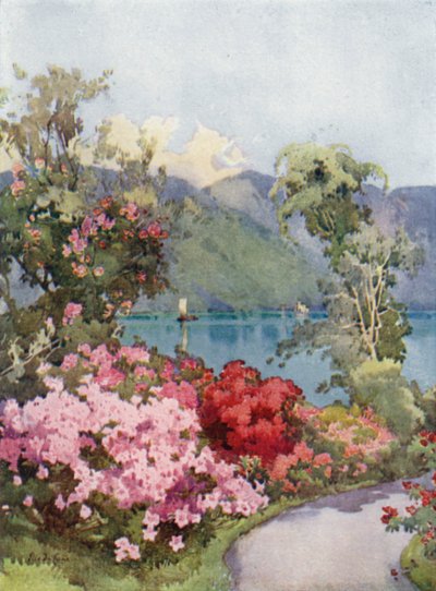 Azaleas, Lake Como by Ella Du Cane