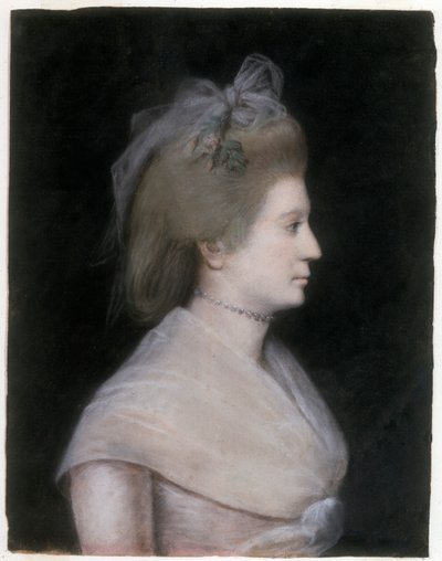 Sarah Lloyd Hillhouse by Ellen Sharples