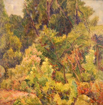 Garden near a Wood by Elliott Seabrooke