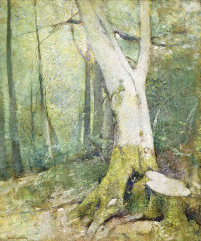 Interior Woodland by Emil Carlsen