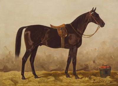 Saddled Black Horse by Emil Volkers