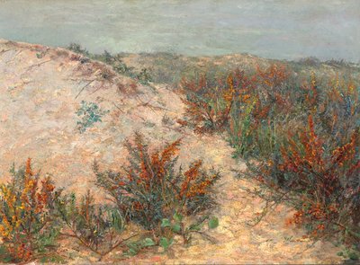 Dunes with Sea Buckthorn near Knokke by Emilie Mediz Pelikan