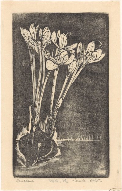 Autumn Crocus by Emilius Wilhelmus Dehé (signed by artist)