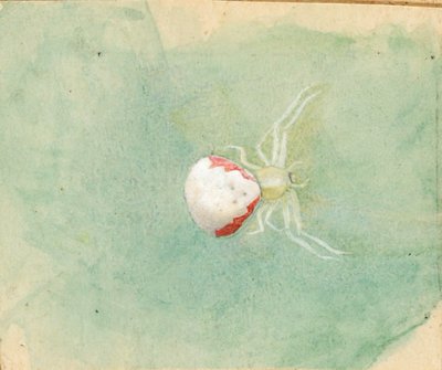 Porcelain-White Spider by Emma Beach Thayer