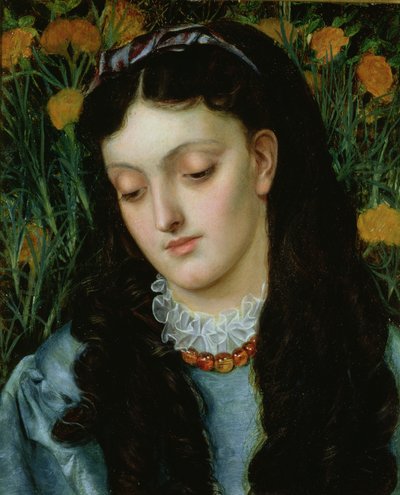 The Beautiful Wallflower by Emma Sandys