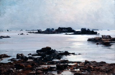 Ile de Sein, 1884 by Emmanuel Lansyer