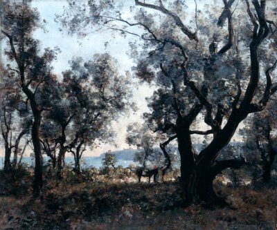 Olive Trees Around Cap Martin by Emmanuel Lansyer