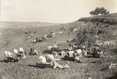 Ambulance Camels, c.1916-19 by English Photographer