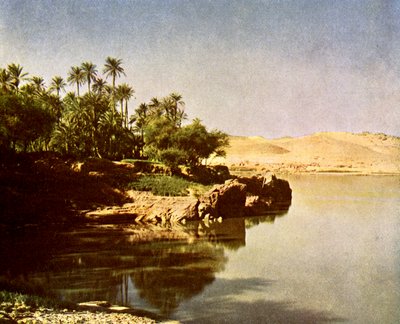 Elephantine by English Photographer