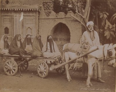 Horse-Drawn Cart, Cairo, 1893 by English Photographer