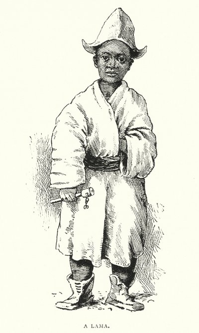 A Lama (engraving) by English School