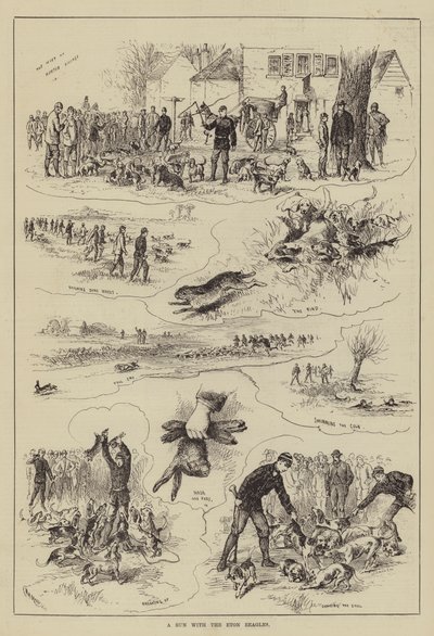 A Run with the Eton Beagles (engraving) by English School