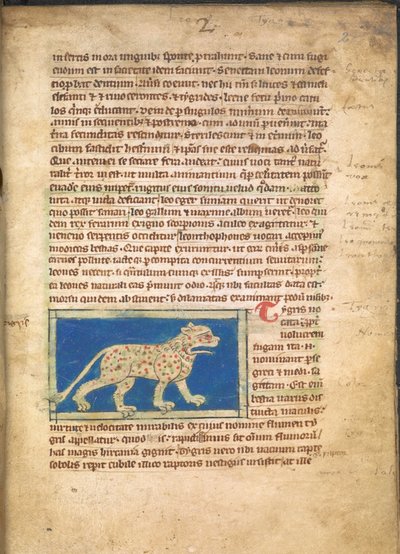 A Tiger, from Sloane 3544, f.2 by English School