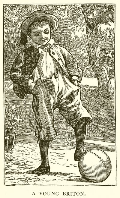 A Young Briton by English School