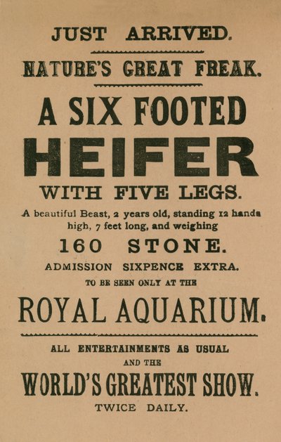 Advertisement for a Six-Footed Heifer by English School