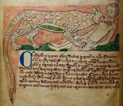 Crocodile, from Bestiary by English School