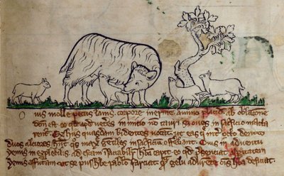 Sheep, from Bestiary by English School