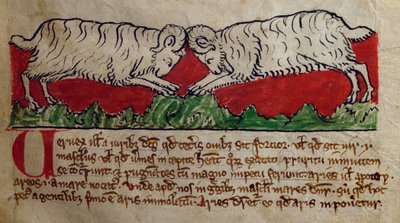 Wether, from Bestiary by English School