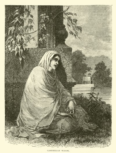 Cashmerian Widow by English School