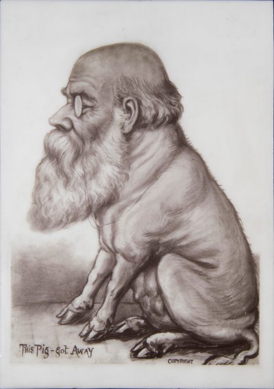 Charles Darwin Plaque, c.1870 by English School