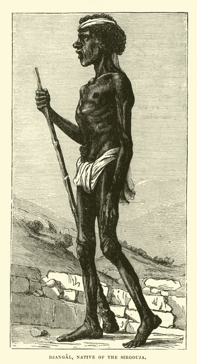 Djangal, Native of the Sirgouja by English School