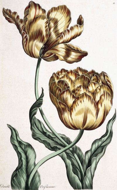 Double Oriflamme, 1759 by English School