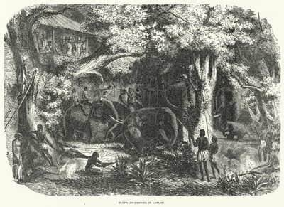 Elephant-Hunting in Ceylon by English School