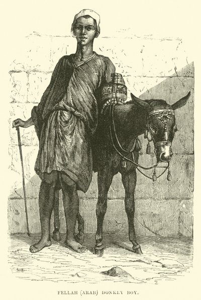 Fellah, Arab; Donkey Boy by English School