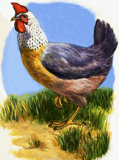 Hen by English School