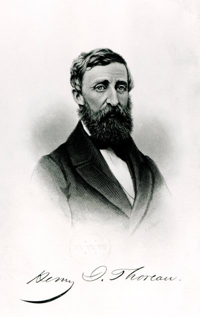 Henry David Thoreau by English School