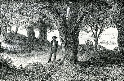Illustration from 