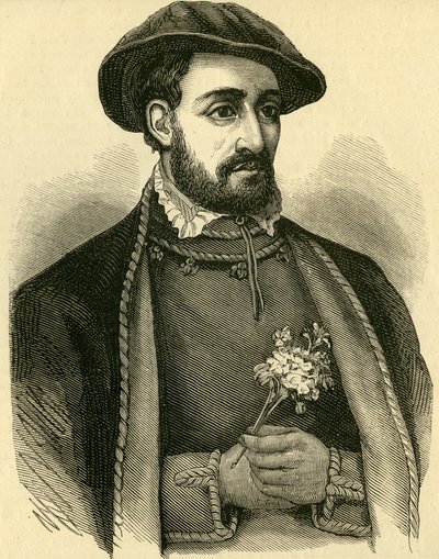 John Dudley, Duke of Northumberland (1502-53) by English School