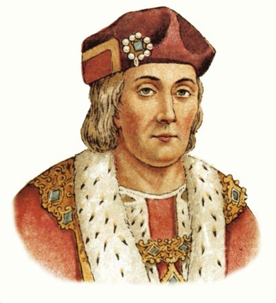 King Henry VII by English School