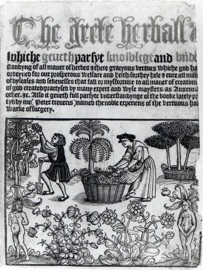 Medieval Herb Garden by English School