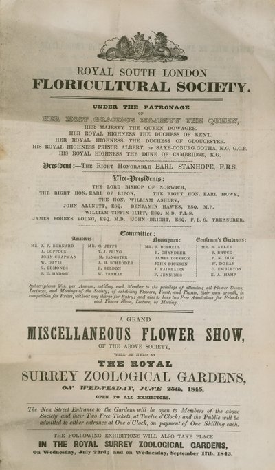 Miscellaneous Flower Show by English School