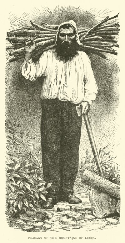 Peasant of the Mountains of Lucca by English School