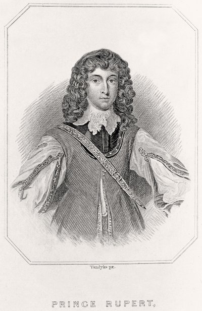 Portrait of Prince Rupert by English School