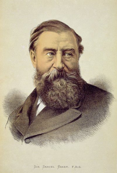 Portrait of Sir Samuel Baker by English School