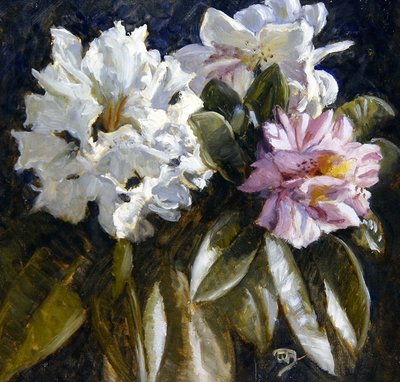Rhododendron by English School