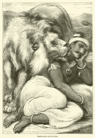 Sandrocottus and the Lion by English School