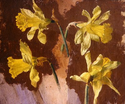 Study of daffodils, c.1830 by English School