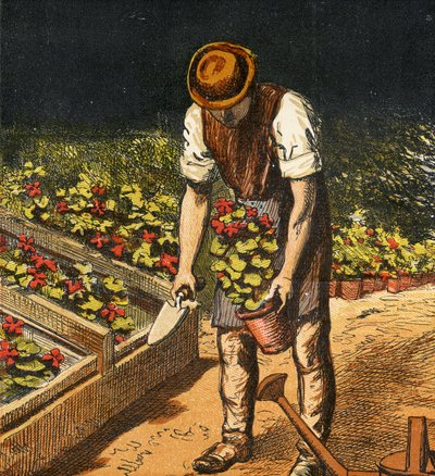 The Gardener by English School