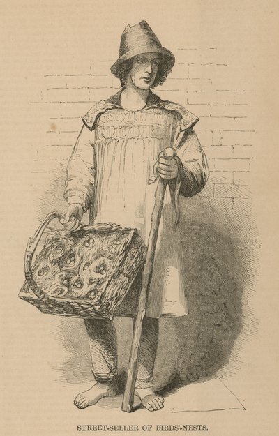 The Street-Seller of Birdsnests by English School