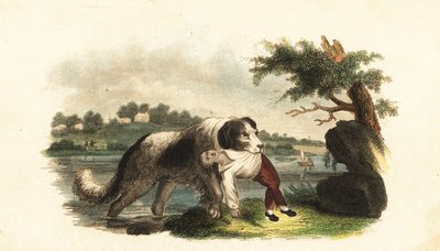 Unknown Image by English School