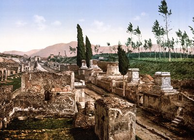View of Pompeii by English School